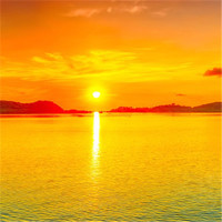 聪明的皮卡丘的个人频道