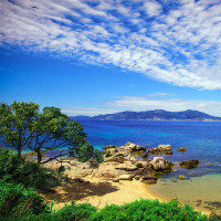 王梓宁RAP力挺兄弟夺冠魏巡燃唱《我的天空