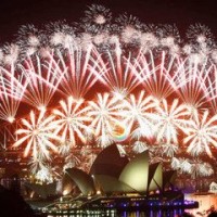 垂杨柳含蕊的个人频道