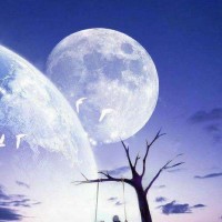 看了林心如妹妹和弟弟的照片,感觉林家完美基