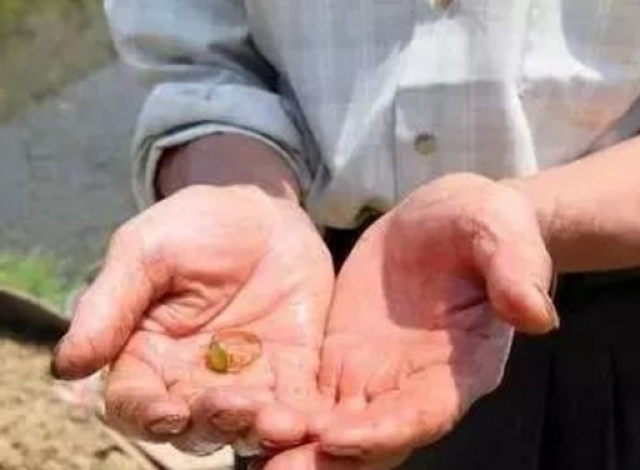 诺基亚香蕉手机5月底将率先亚洲上市