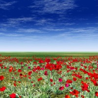 老白游戏解说的个人频道