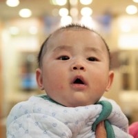 益智启蒙英语,苹果香蕉梨彩椒茄子做成了果汁