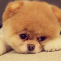 金桔游戏解说的个人频道