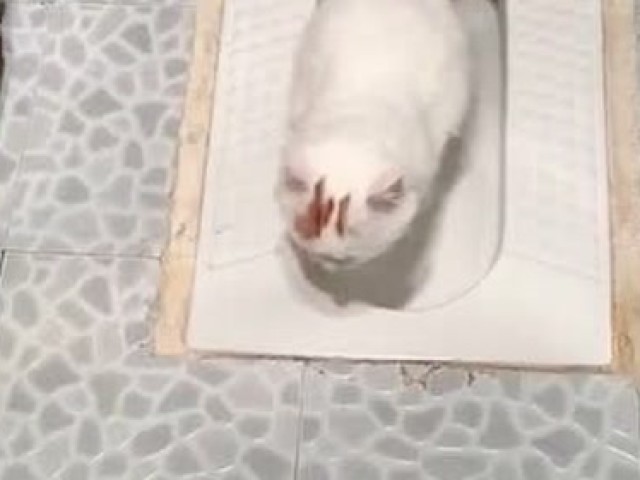 金字塔式股票分批买卖法