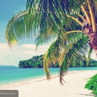 世界杯传奇右后卫卡福:桑巴传奇队长完美诠释