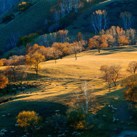 杨幂自曝与小糯米相处细节 参加《时尚大师》