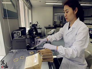 共鸣VOL.9 深圳萌妹子学霸养成记_腾讯大粤网