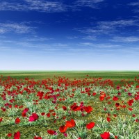 少儿益智英语早教,亮亮玩具汽车动画学习英语