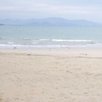 《痛彻心扉》DJ舞曲版 醉人醉心