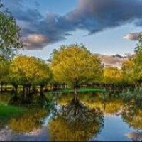 陈赫女儿梳朝天辫乖巧可爱 小奶音学说话超呆