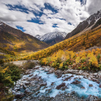 千金归来:赵真真以为长清死了,不料长清突然出