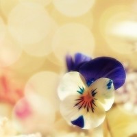 《下一站别离》盛夏高跟鞋崴脚后,疼得嚎啕大