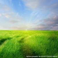 迪拜王子炫富不算啥,最炫的是非洲土豪,网友:非