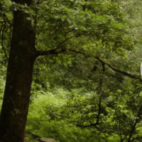 卡塔尔萨姆巴创亚洲400米栏新纪录