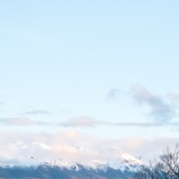 娱乐八卦,翟天临有多火?红毯半路返回去给记者