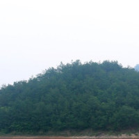 世界女排副攻第一高果然占尽优势