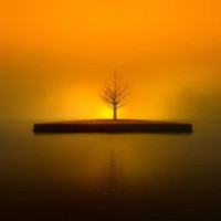 象棋讲解-许银川的飞刀,这招真是太高了,一般人