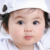 《玩具益趣园》宇宙恐龙变身完成了,好厉害