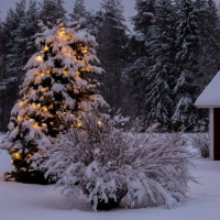 克拉恋人:沈雯夫妇:一物降一物!遇到沈东军怎么