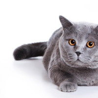 李益炉的欢乐的个人频道