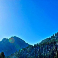 郑欣宜新公司成立当老板,体重似母亲沈殿霞,如