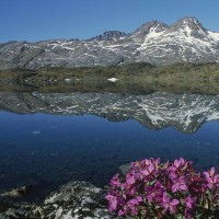 KPL梦泪韩信无兵线偷塔,让天美给水晶加了上