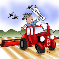 阿龙谈农村的个人频道 - 专辑列表