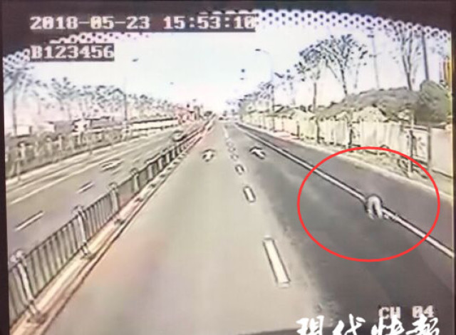 2017最具体育活力城市排行榜发布