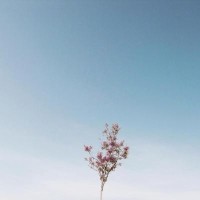 跑男这一期是迪丽热巴的颜值巅峰了吧,这一甩