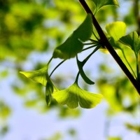 这就是传说中的;洗牌神话;泰国女赌王与中国赌