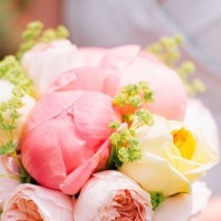 挖掘机动画片视频!汽车玩具总动员!亲子益智儿