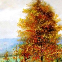 宝宝来时发烧39度,推拿一次就退烧了。孩子再