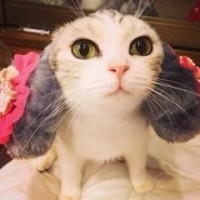 最近这个视频火了!美团战略规划和运营建设