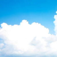 拜托了冰箱 明星的微信好友是怎么加的, 王嘉尔