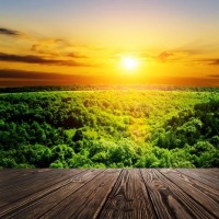 逾百名学生学籍失踪无法高考 教育局:上职高或