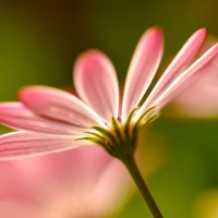 师胜杰老师早期经典完整相声《醉酒歌》缅怀师