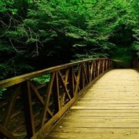 韩国人到中国最大玻璃观景台吓得不轻,还没见