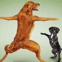 生病的新兵蛋子也不是吃素的,狙击手都佩服他