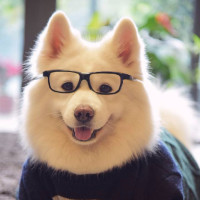 《英雄联盟》亚索如何设置无缝E的操作,这技术