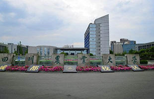 聚焦2018四川高考