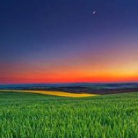 叶童张雅芝讲述《新白娘子》穿帮镜头,郭德纲