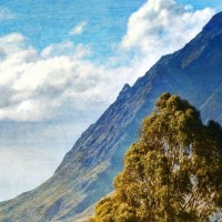 汪汪队:现在汪汪队和队长已经成为圣诞老人心