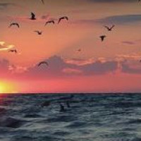 吴彦祖最绝望的一部电影,杀手、妓女、警察、