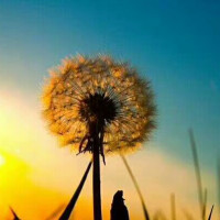 迪丽热巴退出跑男?鹿晗Baby捷克嗨玩合影