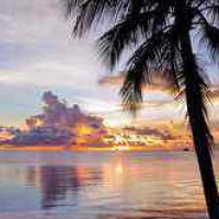 开网店赚钱吗?怎样开网店?淘宝开店方法技巧