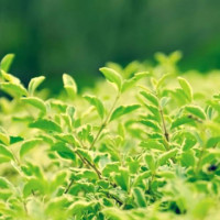 吴奇隆上节目回忆年轻时家庭困难,刘诗诗听完