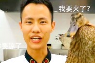 掌赢专家北京pk10收费:2018版小学生神填空,家