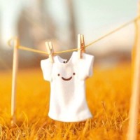 眼泪的原料是血的个人频道