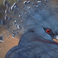 向佐郭碧婷默认恋情后首次同框,与吴尊等好友